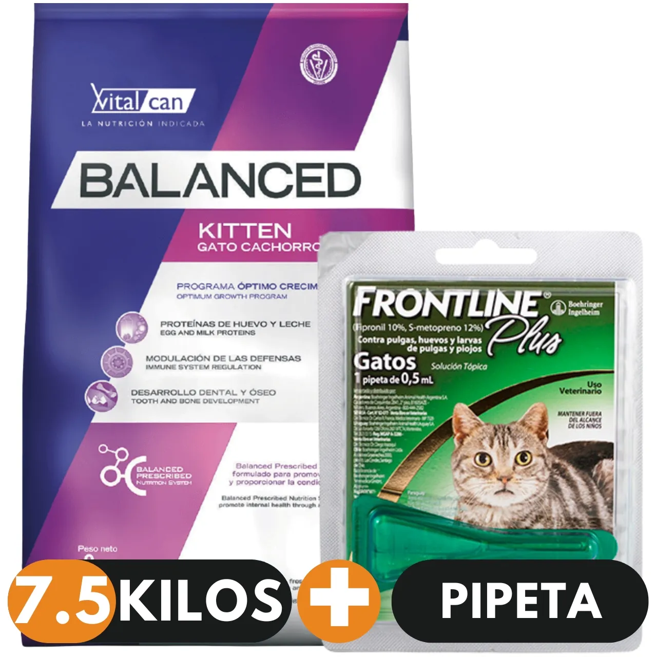 Balanced Gato Kitten 7.5 + Pipeta Antipulgas
