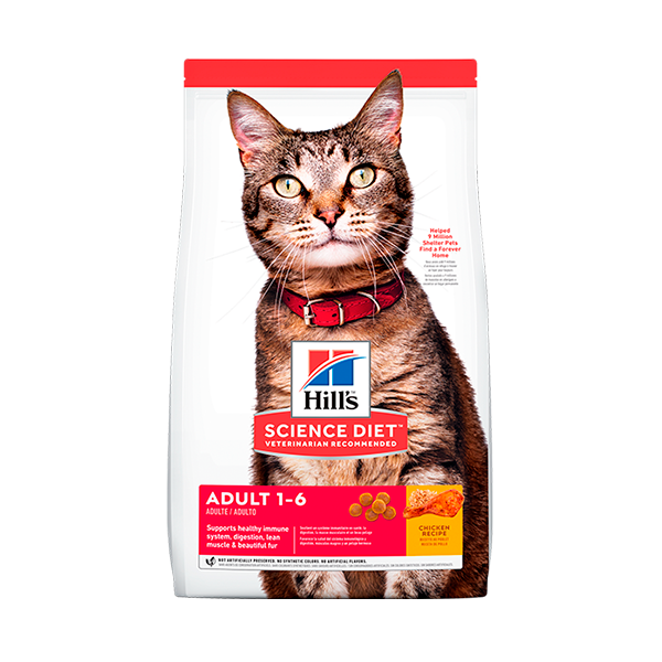Hills Feline Adult 1-6 años