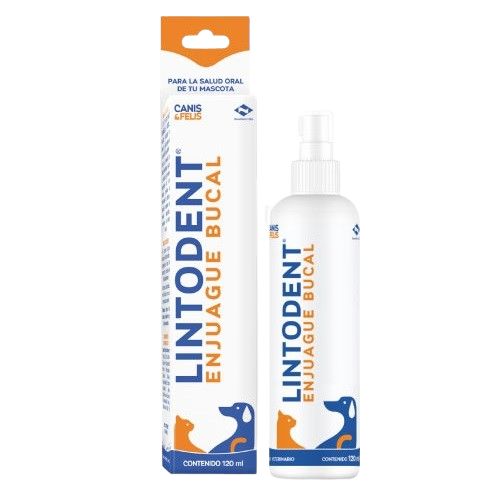 Lintodent Enjuague Bucal x 120 mL