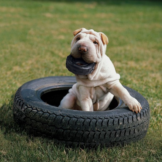 Kong Tires – Neumatico Rellenable - Imagen 2