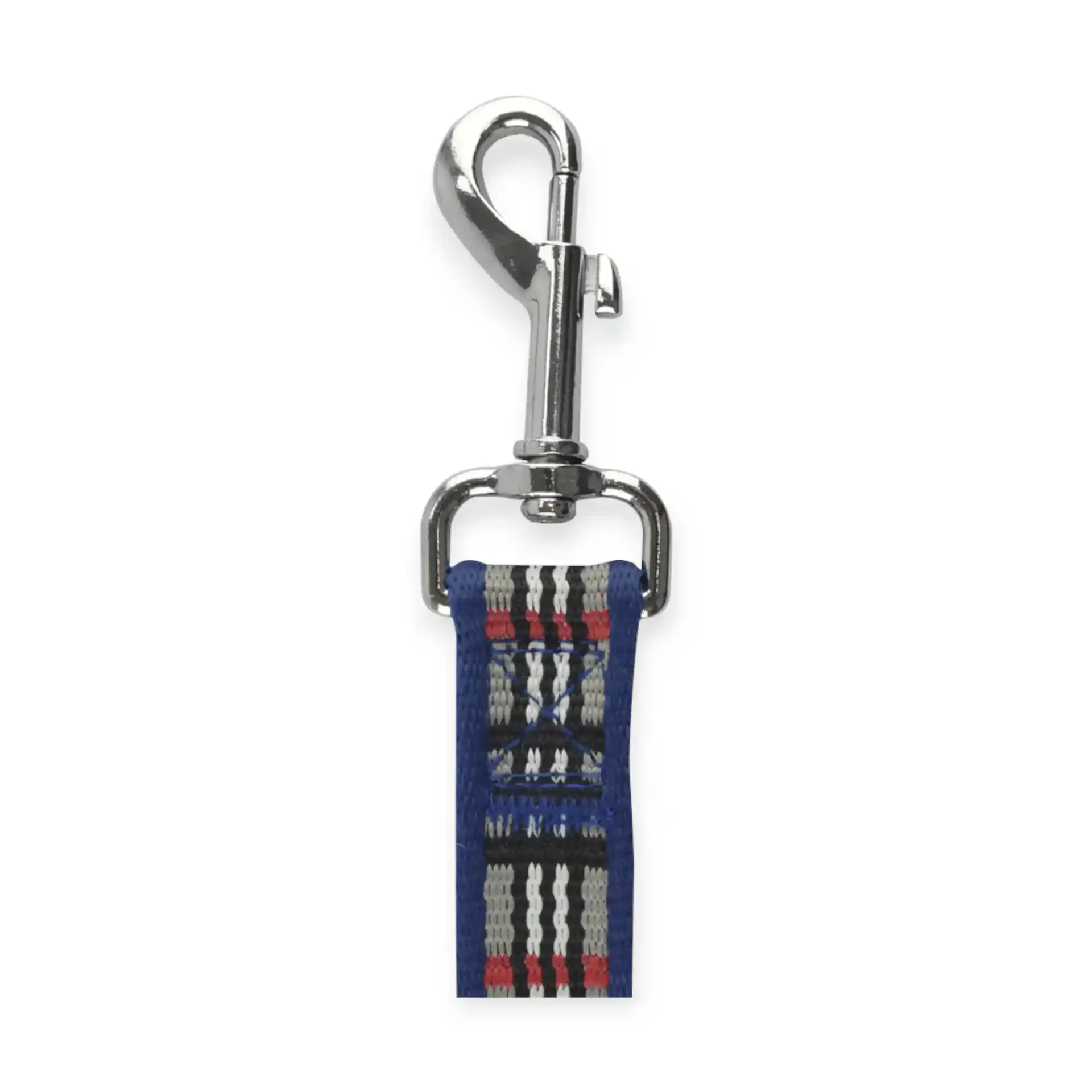 FL9547 Correa Azul Berrydog P/Mascota - Imagen 2